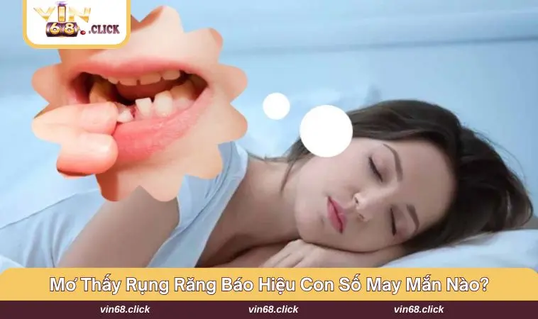 Mỗi giấc mơ đều mang con số đặc biệt cho riêng mình